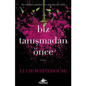 Biz Tanışmadan Önce - Lucie Whitehouse