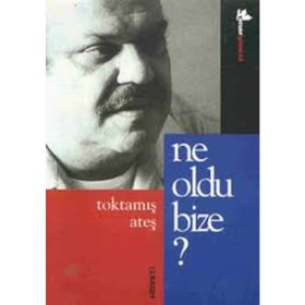 BIZE NE OLDU? - ŞULE YÜKSEL ŞENLER