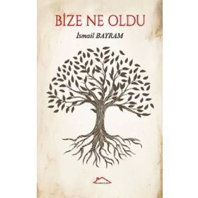 BIZE NE OLDU? - ŞULE YÜKSEL ŞENLER