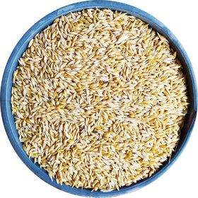 Bizim Yem Tüm Arpa 25 kg Tavuk Yemi