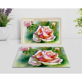 BK Home Yağlıboya Tasarımlı 1000 Parça Profesyonel 13 Puzzle