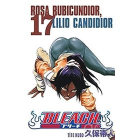 Bleach 17. Cilt - Tite Kubo