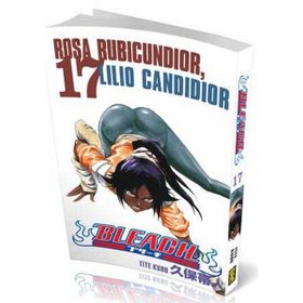 Bleach 17. Cilt - Tite Kubo