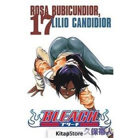 Bleach 17. Cilt - Tite Kubo
