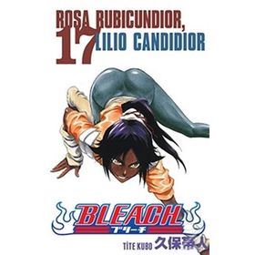 Bleach 17. Cilt - Tite Kubo