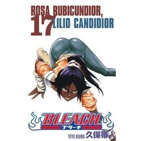 Bleach 17. Cilt - Tite Kubo