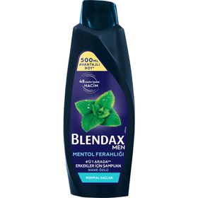Blendax 4x500 ml Mentollü Nane Özlü Erkekler İçin Şampuan