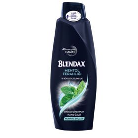 Blendax 6x500 ml Mentol Ferahlığı Erkek Şampuan