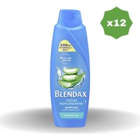 Blendax Aloe Vera 12x500 ml Şampuan
