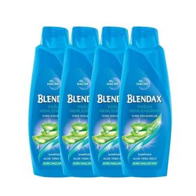 Blendax Aloe Vera Özlü 4x500 ml Şampuan