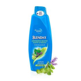 Blendax Bitki Özlü 550 ml Şampuan