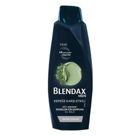 Blendax Erkek Kepek Karşıtı 470 ml Şampuan