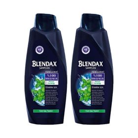 Blendax Erkek Mentol Ferahlığı 2x500 ml Şampuan