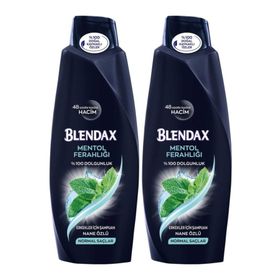 Blendax Erkek Mentol Ferahlığı 2x500 ml Şampuan