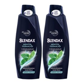 Blendax Erkek Mentol Ferahlığı 2x500 ml Şampuan