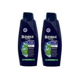 Blendax Erkek Mentol Ferahlığı 2x500 ml Şampuan