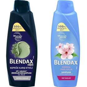 Blendax Erkekler İçin Kepeğe Karşı Etkili 500 ml Şampuan + Kiraz Çiçeği Özlü 500 ml Şampuan