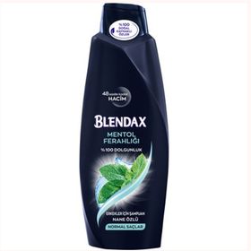 Blendax Erkekler İçin Mentollü 500 ml Şampuan
