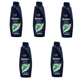 Blendax Erkekler İçin Mentollü 5x470 ml Şampuan