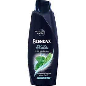 Blendax Erkekler İçin Mentollü 6x500 ml Şampuan