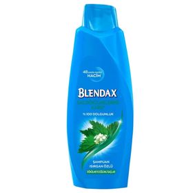 Blendax Isırgan Özlü 4x500 ml Şampuan