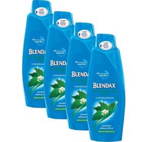 Blendax Isırgan Özlü 4x500 ml Şampuan