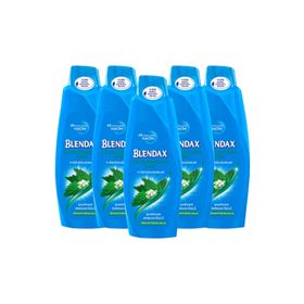 Blendax Isırgan Özlü 5x500 ml Şampuan