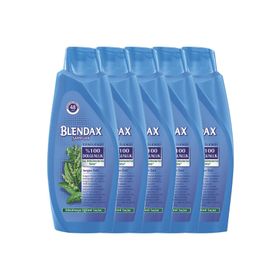 Blendax Isırgan Özlü 5x550 ml Şampuan