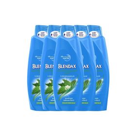Blendax Isırgan Özlü 5x550 ml Şampuan