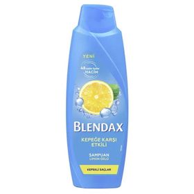 Blendax Kepeğe Karşı Etkili 470 ml Şampuan