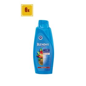 Blendax Kına Özlü 550 ml Şampuan