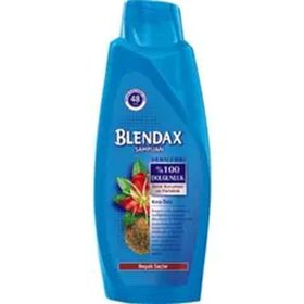 Blendax Kına Özlü Boyalı Saçlar İçin 600 ml Şampuan