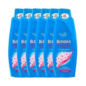 Blendax Kiraz Çiçeği Özlü 6x500 ml Şampuan