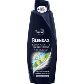 Blendax Men 500 ml Kepeğe Karşı Şampuan