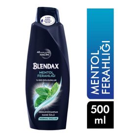 Blendax Mentol Ferahlığı 500 ml Erkek Şampuan