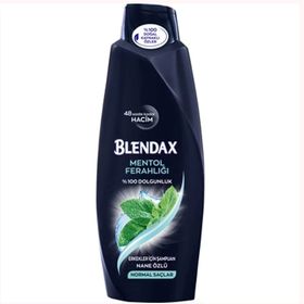 Blendax Mentollü 6x500 ml Erkek Şampuan
