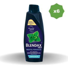 Blendax Mentollü 6x500 ml Erkek Şampuan