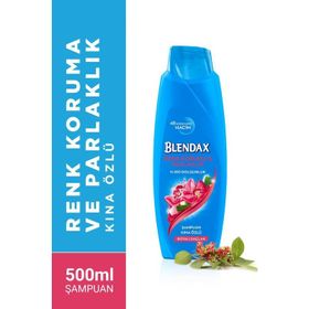 Blendax Nane Özlü 500 ml Erkek Şampuanı
