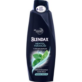 Blendax Normal Saçlar İçin 500 ml Dolgunlaştırıcı Mentollü Şampuan