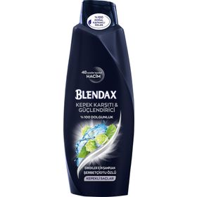 Blendax Tüm Saçlar İçin 500 ml Kepek Önleyici 2'si 1 Arada Şampuan