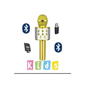 Blic BLS-25 Usb Tf Kart Aux Karaoke Mikrofon