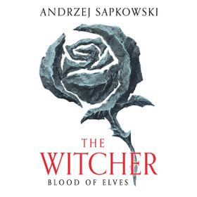 Blood of Elves: Witcher 1 - Now a Major Netflix Show
