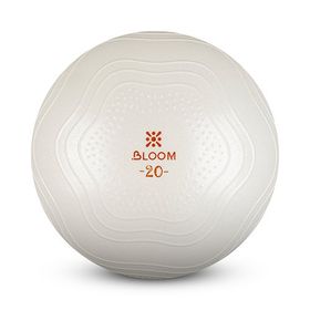 Bloom Lb7001 20 cm Beyaz Mini Pilates Topu Pompası