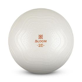 Bloom Lb7001 20 cm Beyaz Mini Pilates Topu Pompası