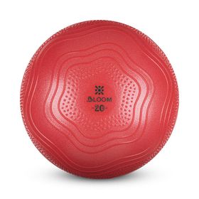 Bloom Lb7001 20 cm Pembe Mini Pilates Topu Pompası