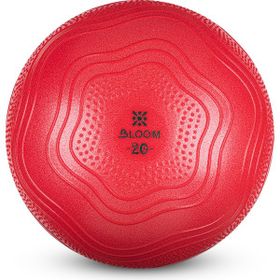 Bloom Lb7001 20 cm Pembe Mini Pilates Topu Pompası