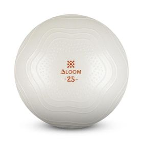 Bloom Lb7001 25 cm Beyaz Mini Pilates Topu Pompası