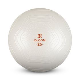 Bloom Lb7001 25 cm Beyaz Mini Pilates Topu Pompası