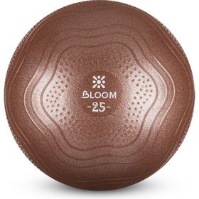 Bloom Lb7001 25 cm Kahverengi Mini Pilates Topu Pompası