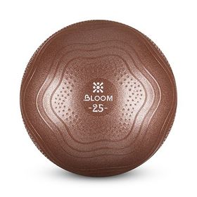 Bloom Lb7001 25 cm Kahverengi Mini Pilates Topu Pompası
